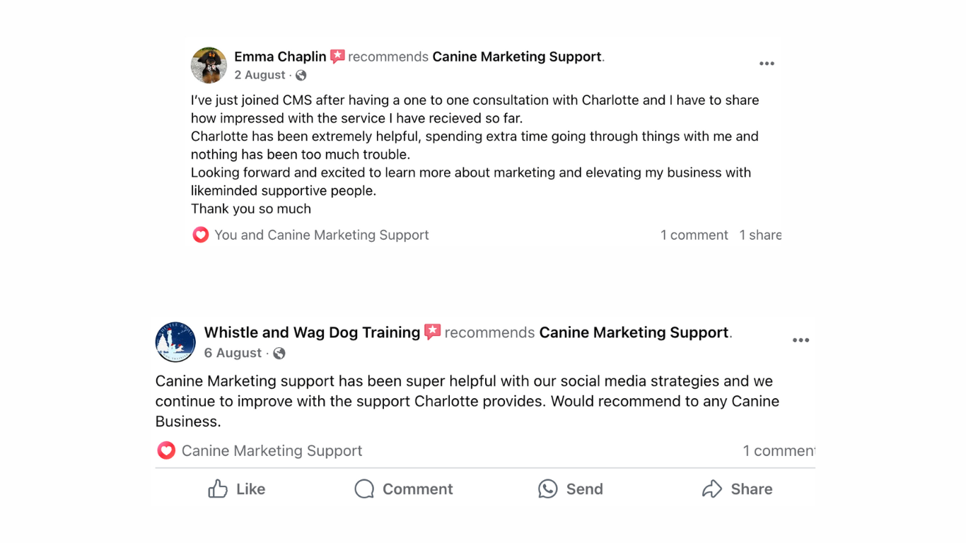 Website testimonials